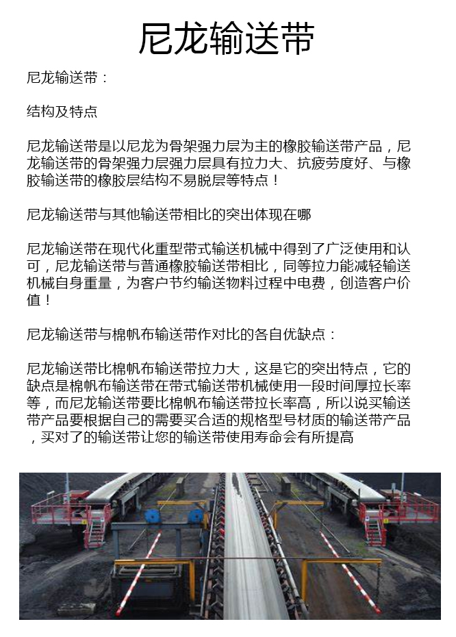 耐寒尼龙乐竞_乐竞（中国）厂家