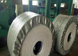 ST1600斗提机乐竞_乐竞（中国）